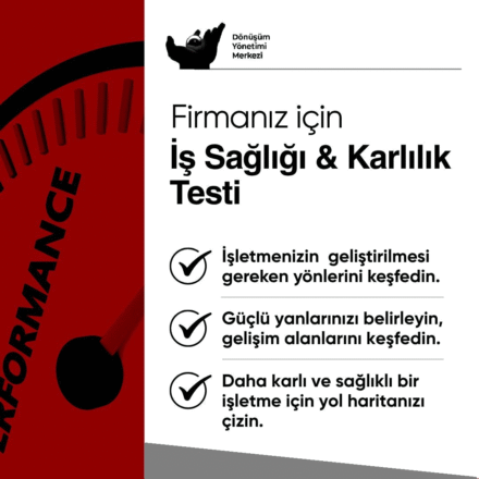DYM-8 İş Sağlığı ve Kârlılık Analizi: Kendi Kendini Değerlendirme Testi