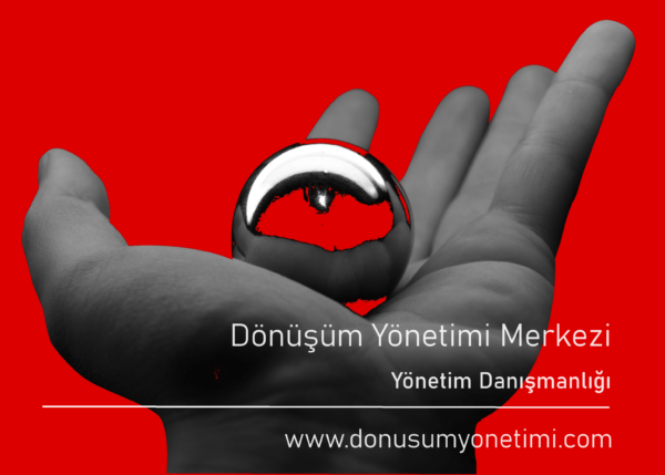 Dönüşüm Yönetim Danışmanlığı