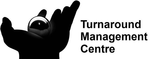 Dönüşüm Yönetimi Merkezi Yönetim Danışmanlığı